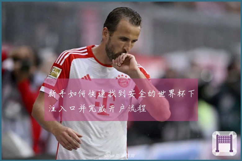 新手如何快速找到安全的世界杯下注入口并完成开户流程